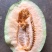 西州蜜瓜