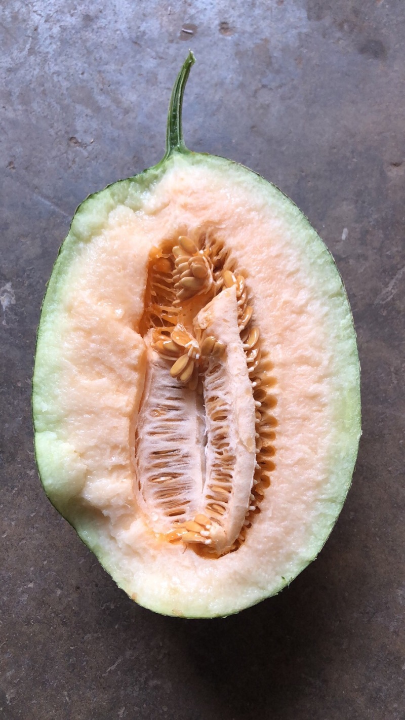 西州蜜瓜