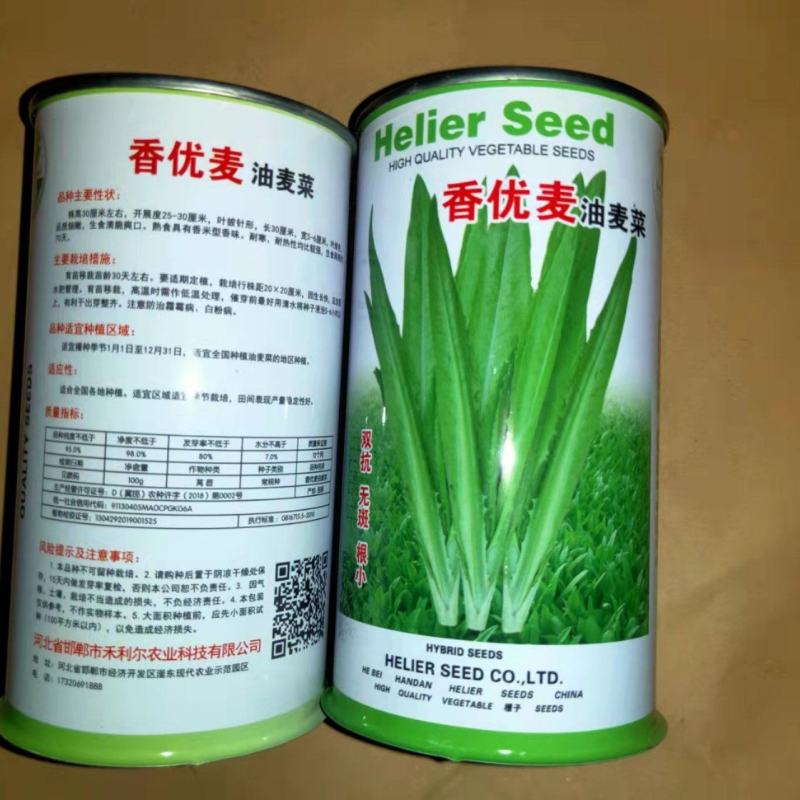 四季油麦菜种子花叶紫红色油麦菜籽春秋季阳台种菜青菜籽蔬菜