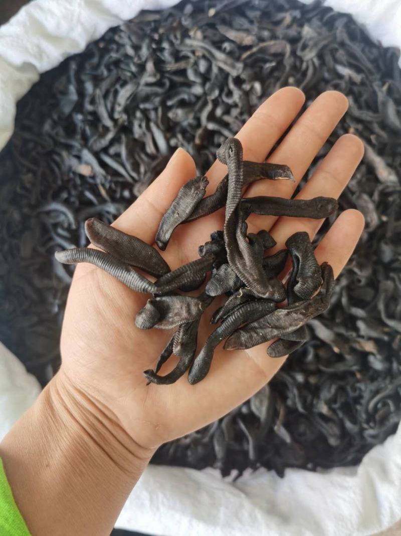 振兴药材批发供应清水水蛭规格齐全产地直供一手货源全国发货