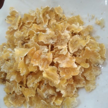 蒸汽压片熟化玉米