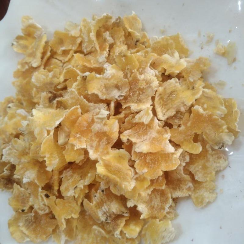 蒸汽压片熟化玉米