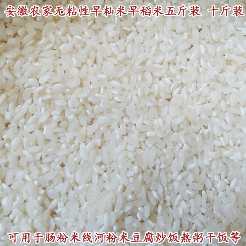 安徽早稻米早籼米不粘不糯煮粥炒饭米农家无粘性