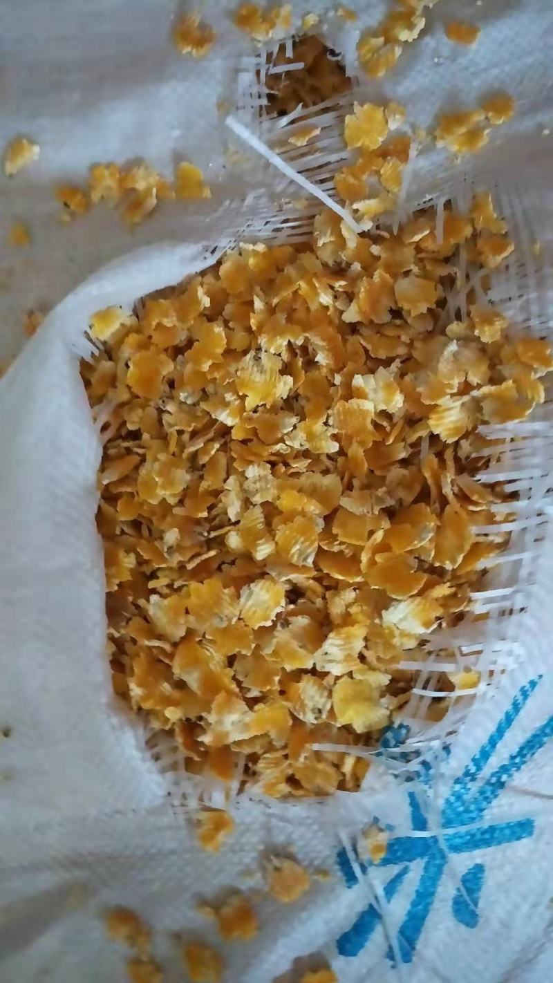 蒸汽压片熟化玉米