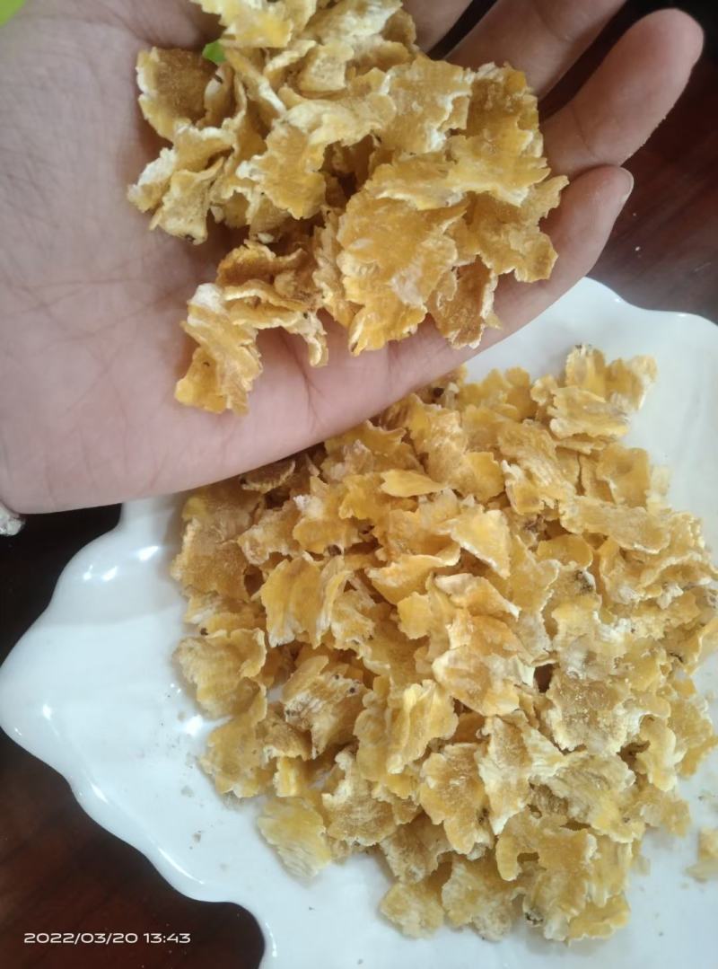 蒸汽压片熟化玉米