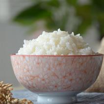2021年新米自然农法正宗东北黑龙江大米10斤胚芽米