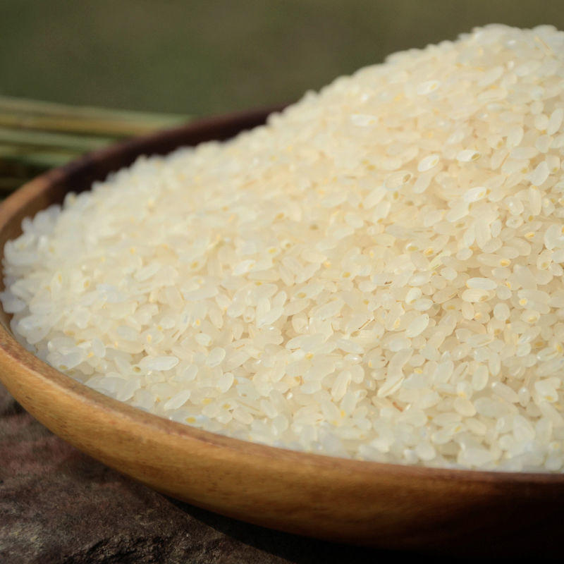 2021年新米自然农法正宗东北黑龙江大米10斤胚芽米