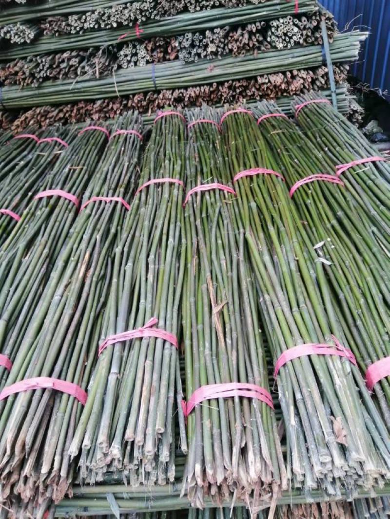 大棚大小竹竿！豆角架！东瓜架！山药网架产地