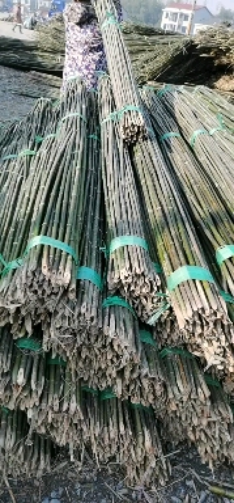 大棚大小竹竿！豆角架！东瓜架！山药网架产地