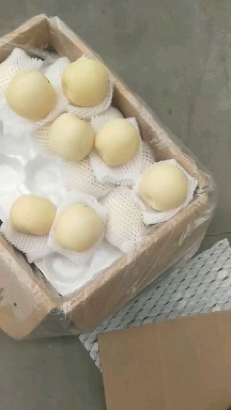 河北赵县皇冠梨。大量上市，有需要的客商联系。欢迎实地看货
