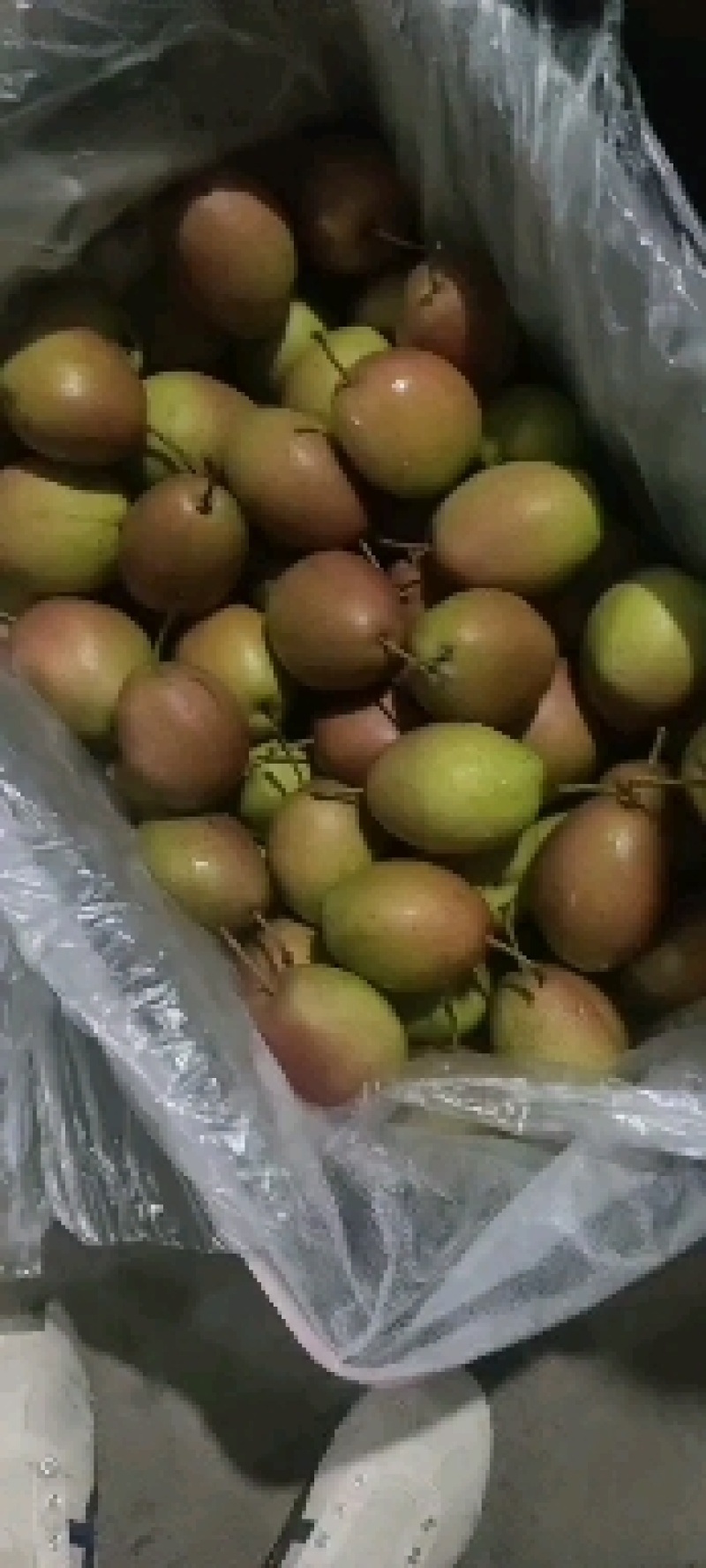 精品红香酥，产地直销。。。有需要的客商联系！！！