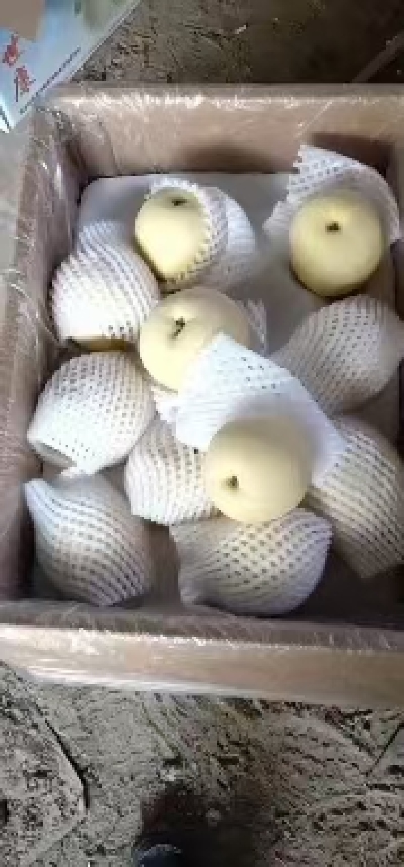 精品皇冠梨，口感脆甜多汁，诚信经营，货源稳定供应