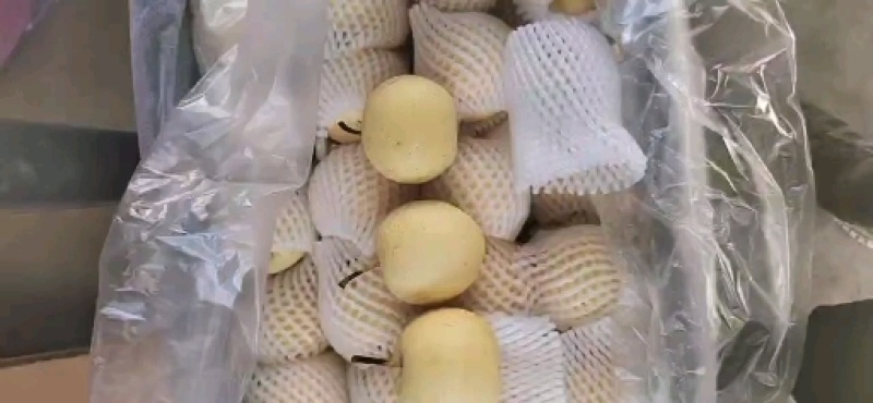 精品皇冠梨，口感脆甜多汁，诚信经营，货源稳定供应