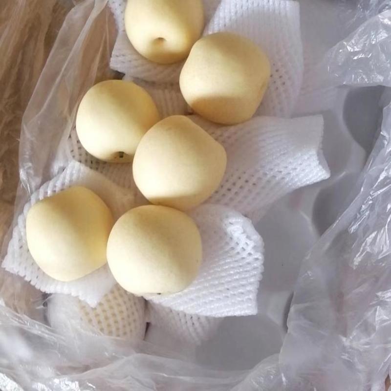 精品皇冠梨，口感脆甜多汁，诚信经营，货源稳定供应
