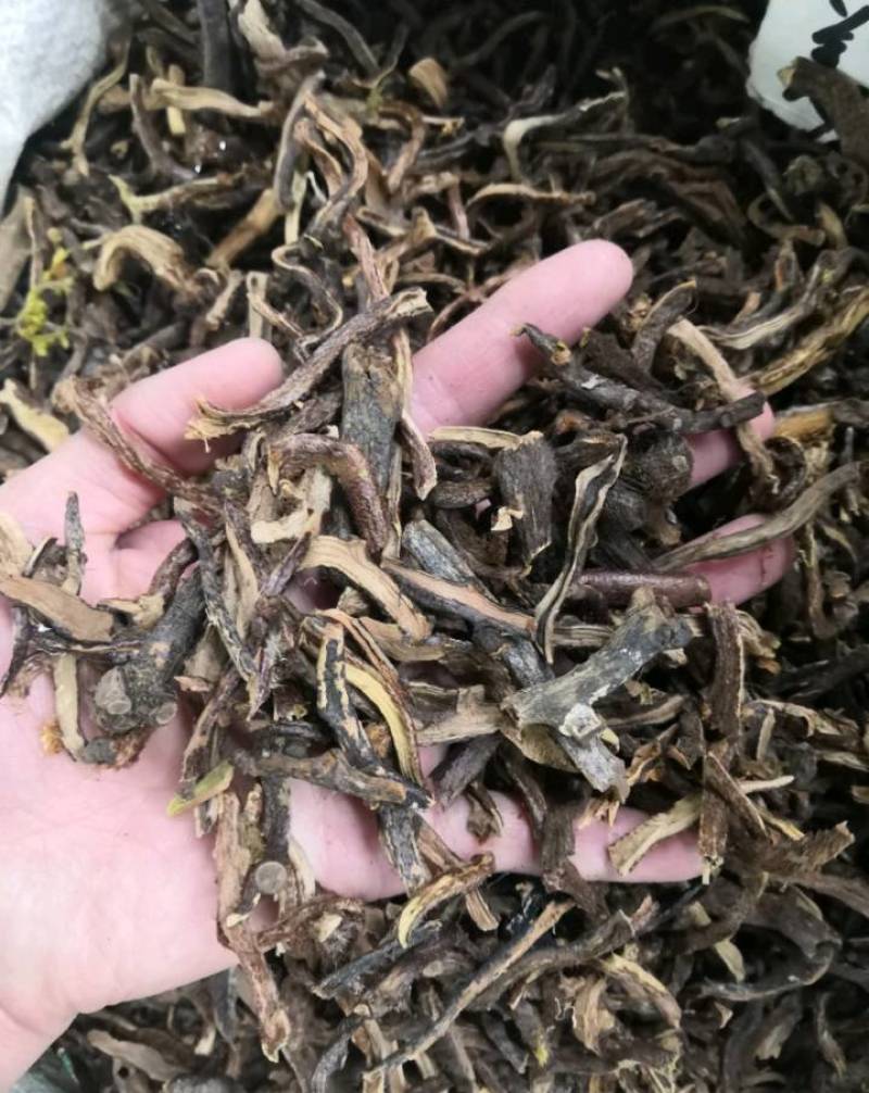 无硫骨碎补冷背药材批发各种中药材各种规格