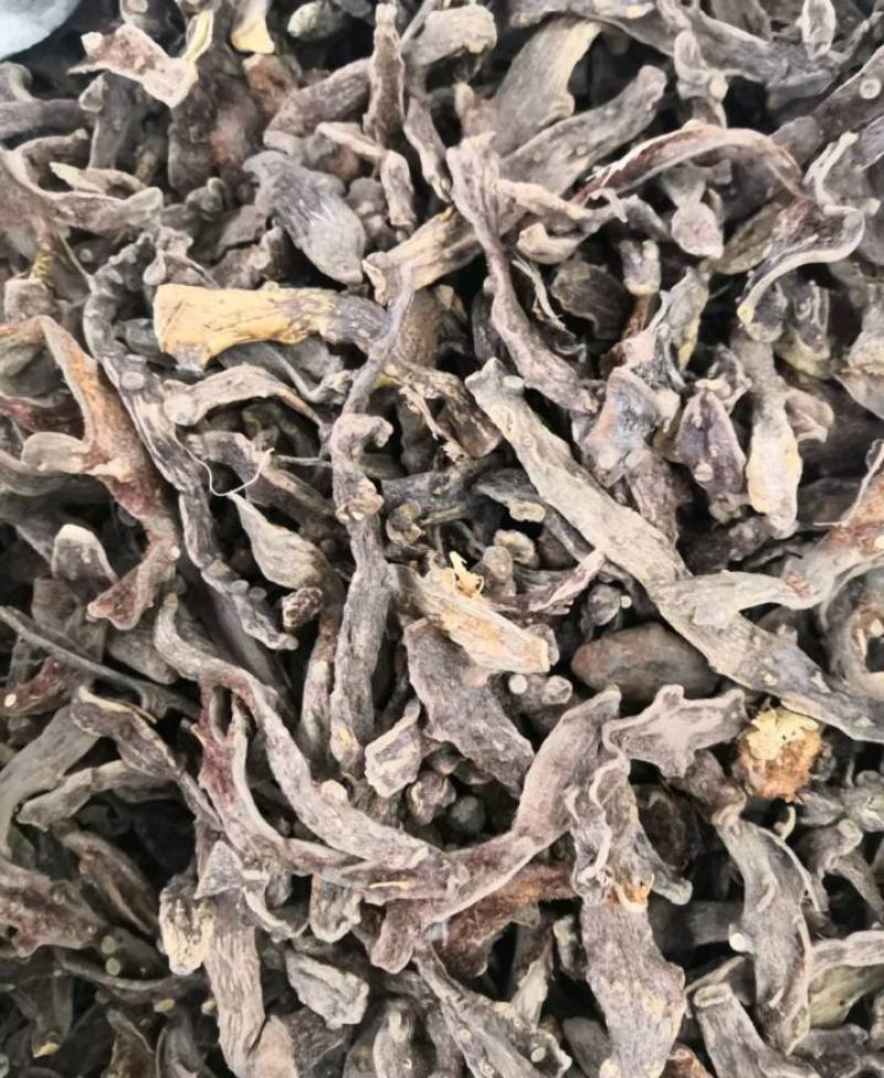 无硫骨碎补冷背药材批发各种中药材各种规格