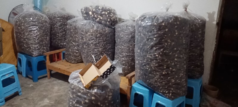 羊肚菌菌