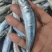 竹叶巴浪，又叫四破鱼，品质非常好。发货量请先沟通