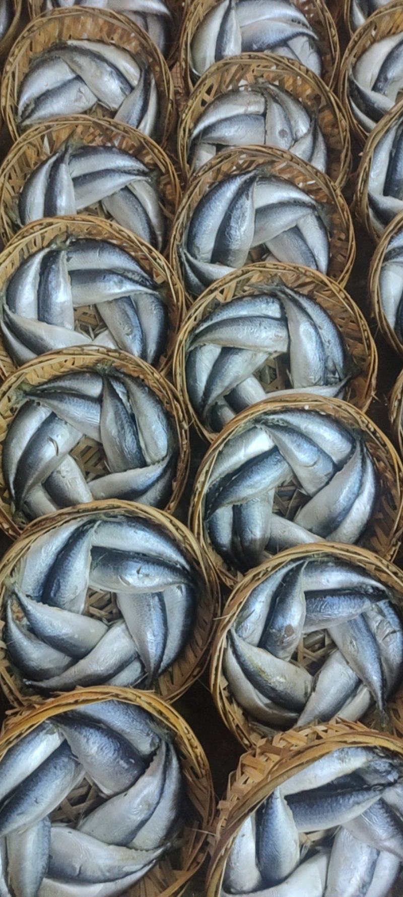 鲭鱼，青占鱼（花仙），大小都有，常年有货。发货量请先沟通