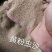 黄粉虫虫沙