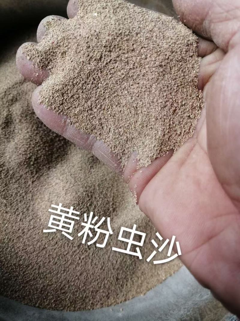 黄粉虫虫沙