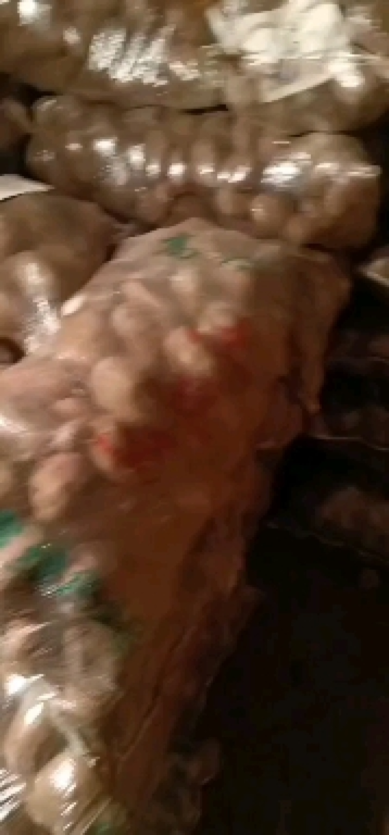 甘肃旱地马铃薯