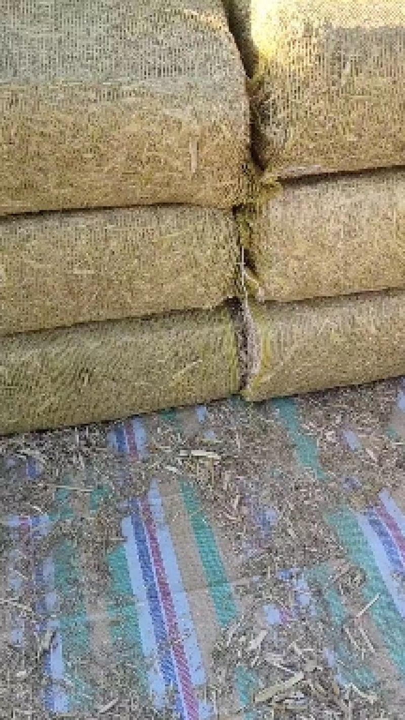草料，牛，羊草料，桔杆玉米青储，干草各种草料量大