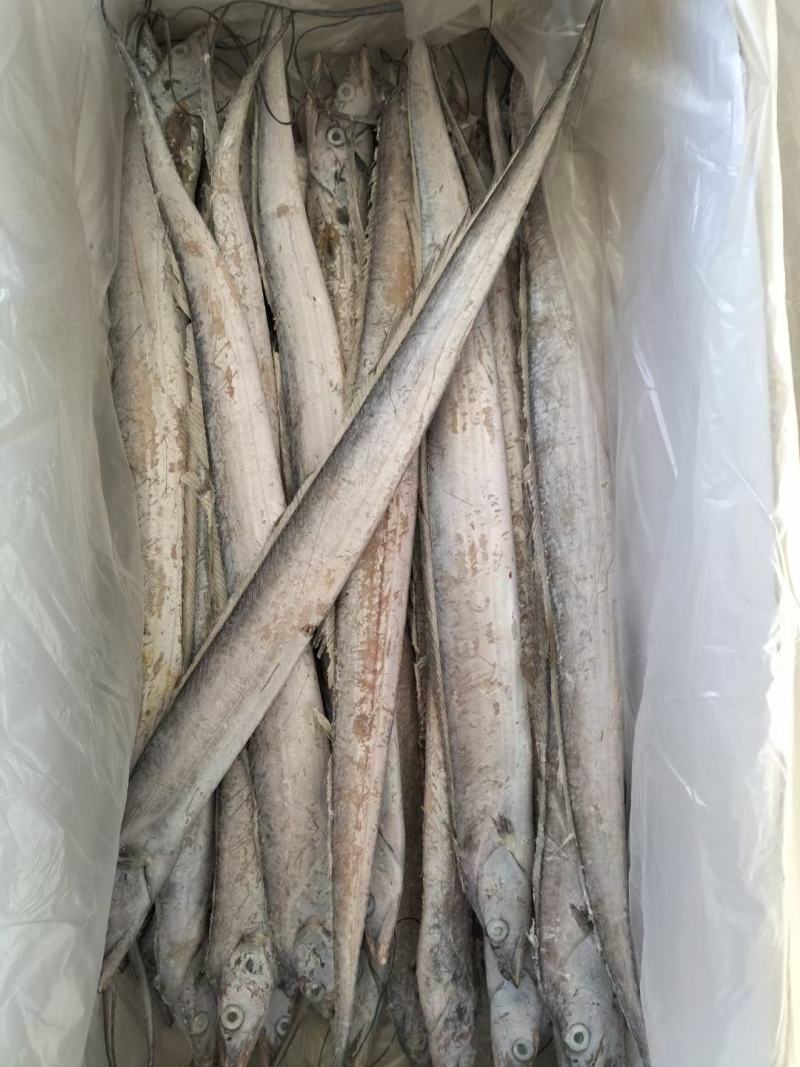 带鱼，鲜冻黄海带鱼，油炸，油焖，质量保证全国各地发货