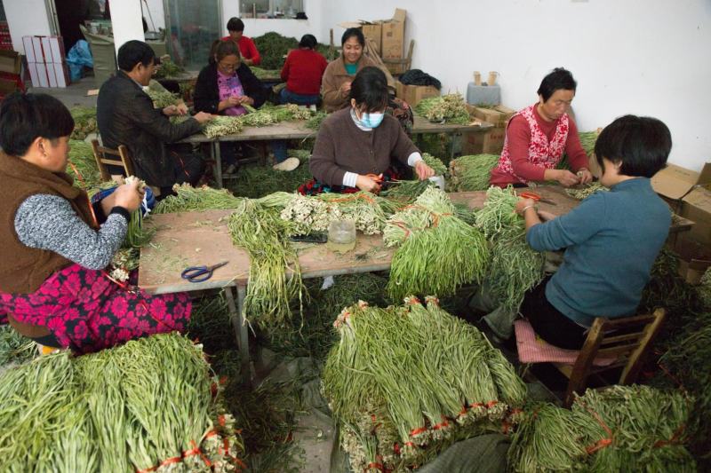 亳州，特产，代加工各种各样的包装，一级产品