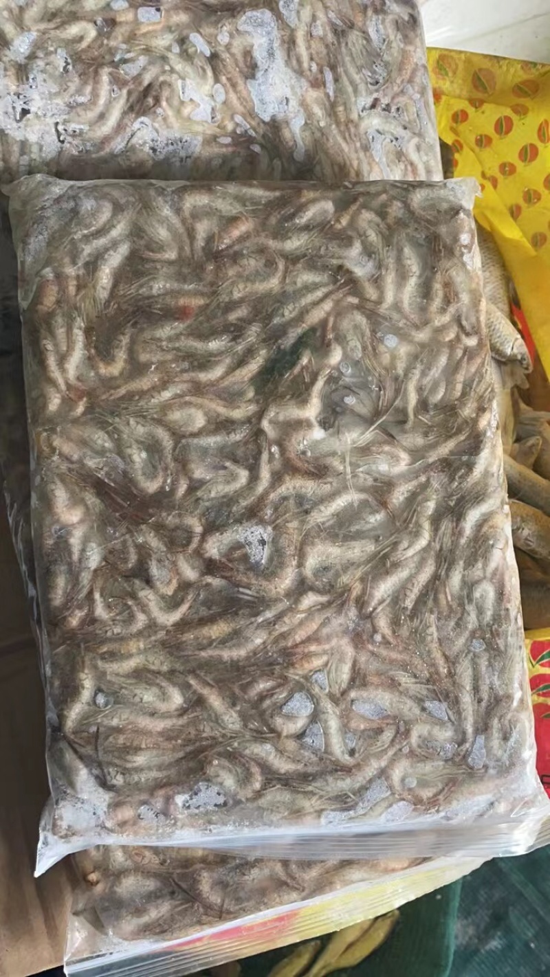 虾
