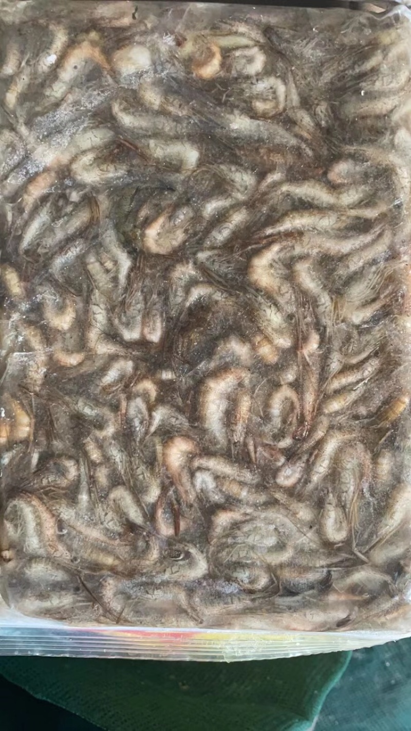 虾