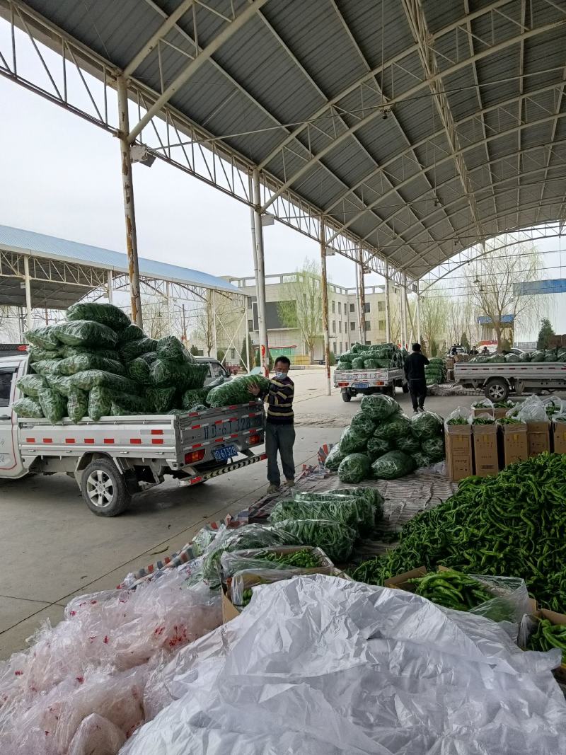 各种蔬菜大量上货