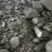 煤炭，冬季取暖民用煤，低硫，无石头，无面，耐烧。
