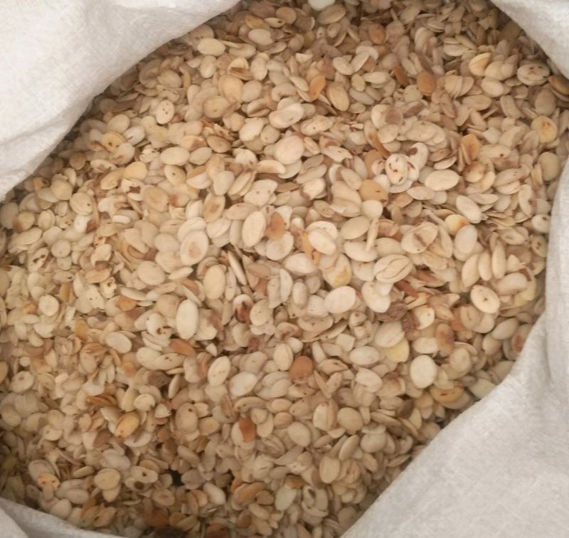 振兴药材批发供应炒桃仁规格齐全产地直供一手货源全国发货