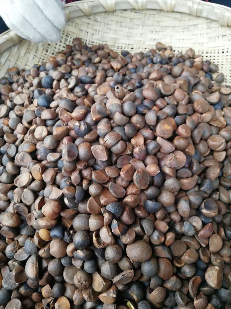 茶粕江西茶籽粉洗洁品洗发粉洗蔬菜水果茶油仔饼洗头洗碗