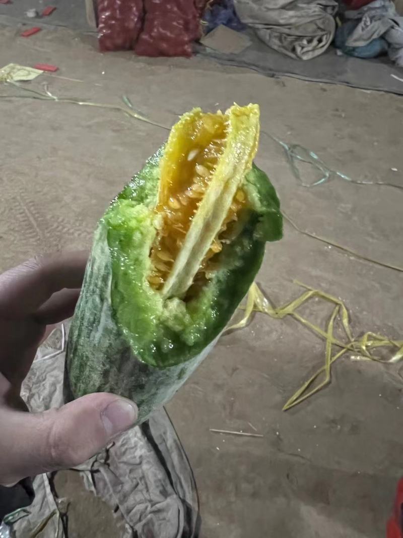 博阳九号羊角蜜绿宝大量上市欢迎老板采购，有专业的小工包装