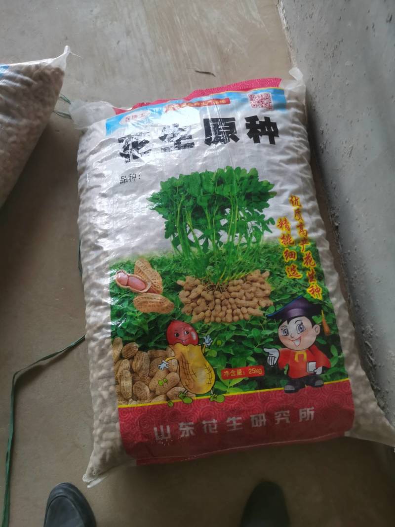 花生果，人工精选高产抗病两粒红双仁果