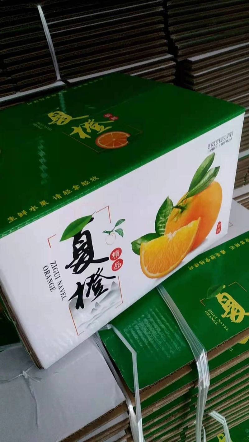 热销精品夏橙伦晚脐橙产地实力代办果园鲜果直供