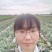 红提葡萄苗，红色大粒晚熟提子高产，纯甜，耐储运，基地直发