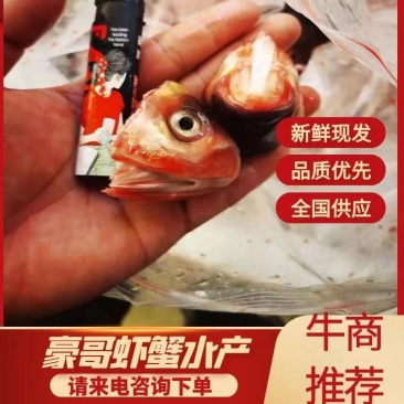 鱼头，鱼副产品活鱼，质量保证，价格优美！
