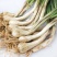 热销江西现挖新鲜带叶茭头芥头茭藠头叫教头薤白当季农家自种
