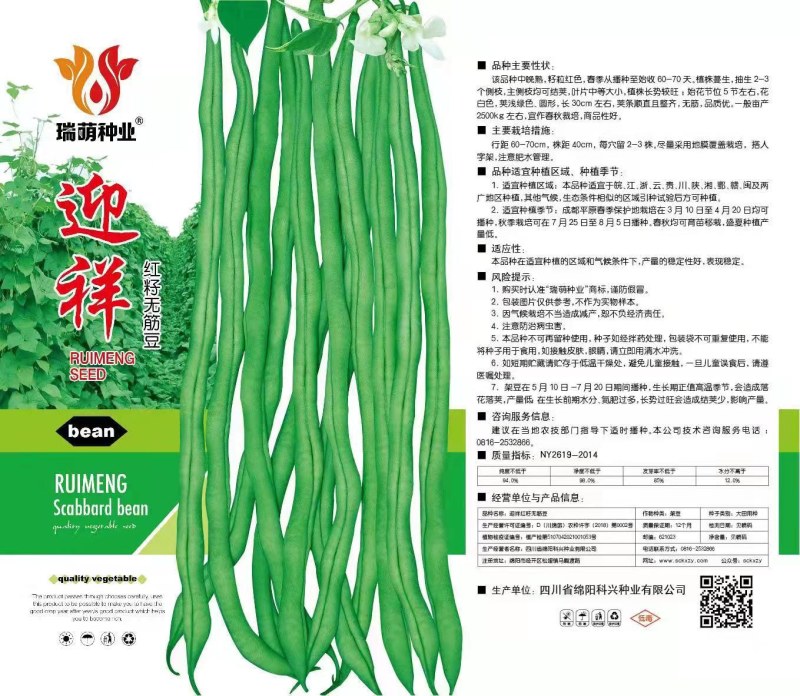 红籽无筋豆种子红无筋豆种子泰国无筋豆种子升级品种