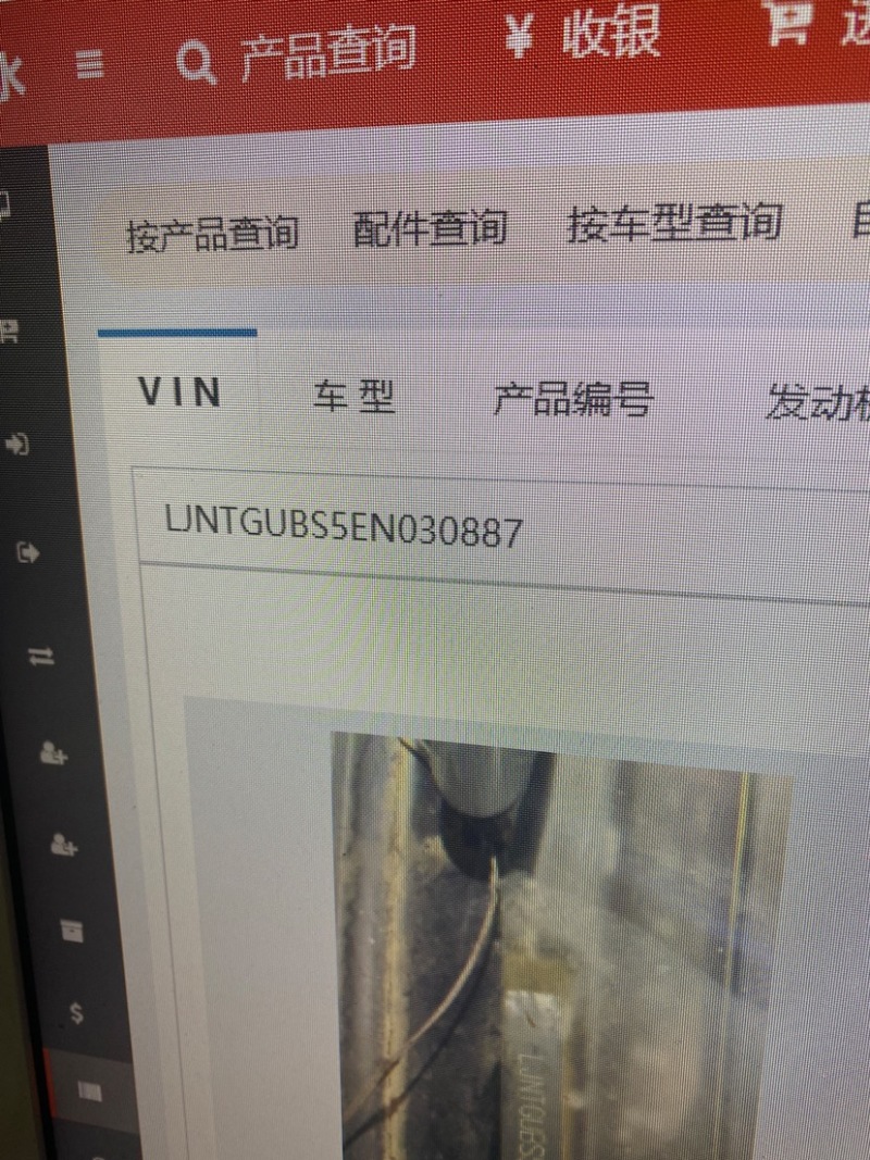 丽署6号大量现货欢迎老板联系