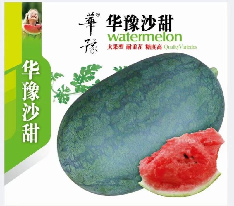新世纪绿皮王西瓜种子红沙瓤少籽易管理瓜大高产抗病囗感好