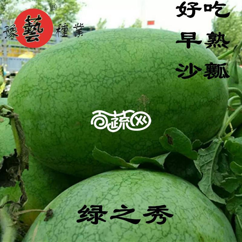 新世纪绿皮王西瓜种子红沙瓤少籽易管理瓜大高产抗病囗感好