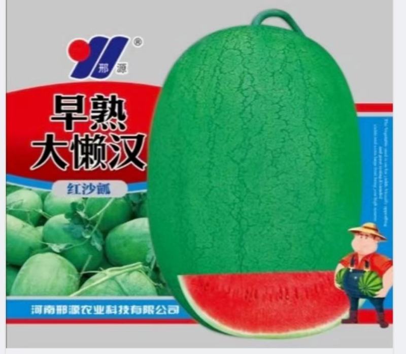 新世纪绿皮王西瓜种子红沙瓤少籽易管理瓜大高产抗病囗感好