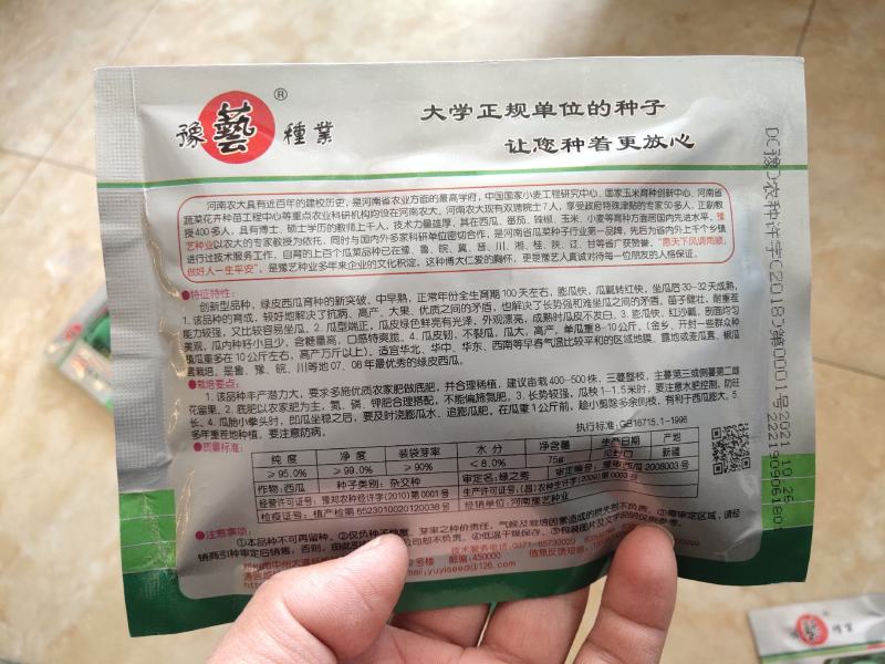 新世纪绿皮王西瓜种子红沙瓤少籽易管理瓜大高产抗病囗感好
