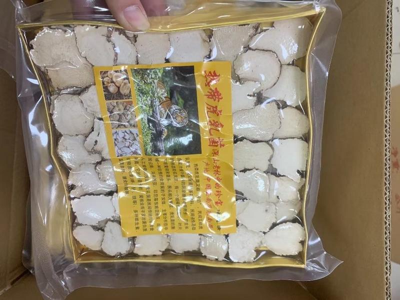 真空虎乳菌中片大片250克一盒，有中片，大片，三款包装