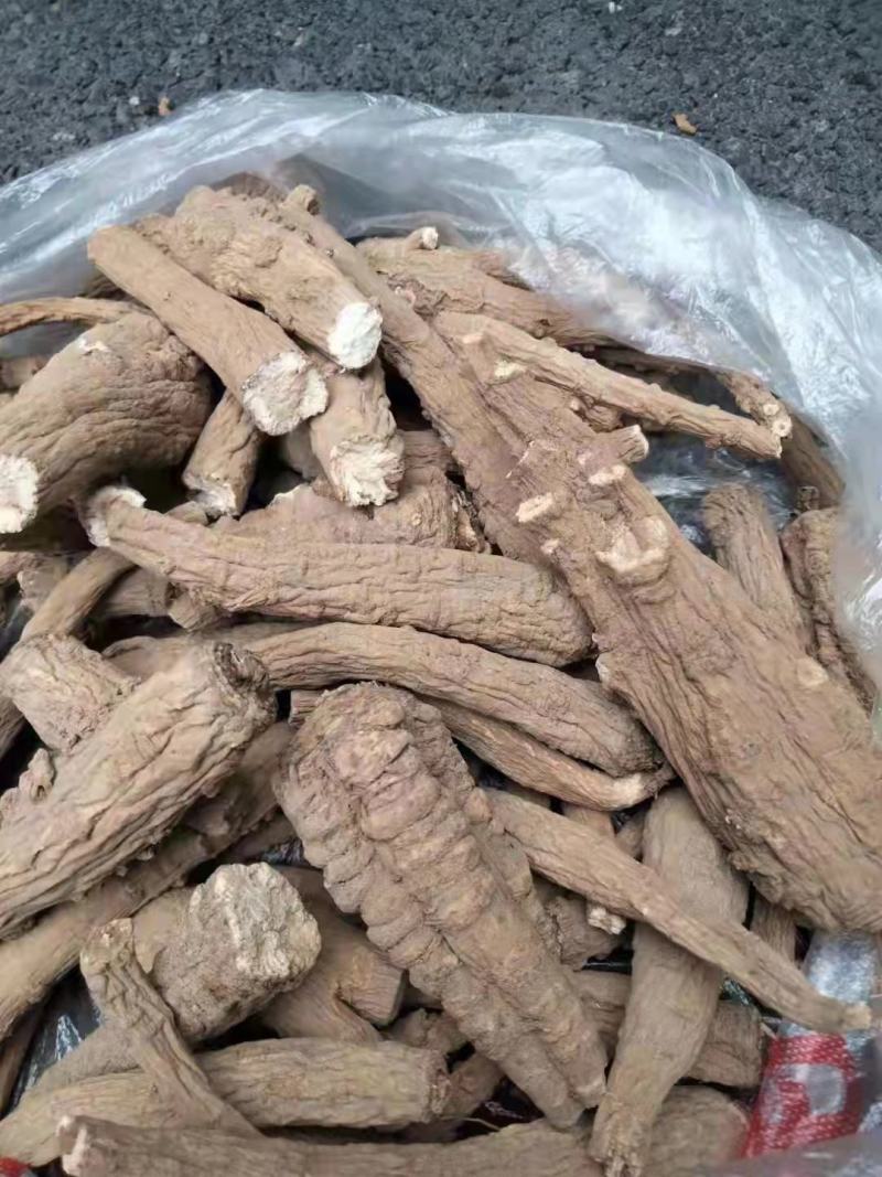 【推荐】中药材/白芷40吨15元/公斤欢迎选购