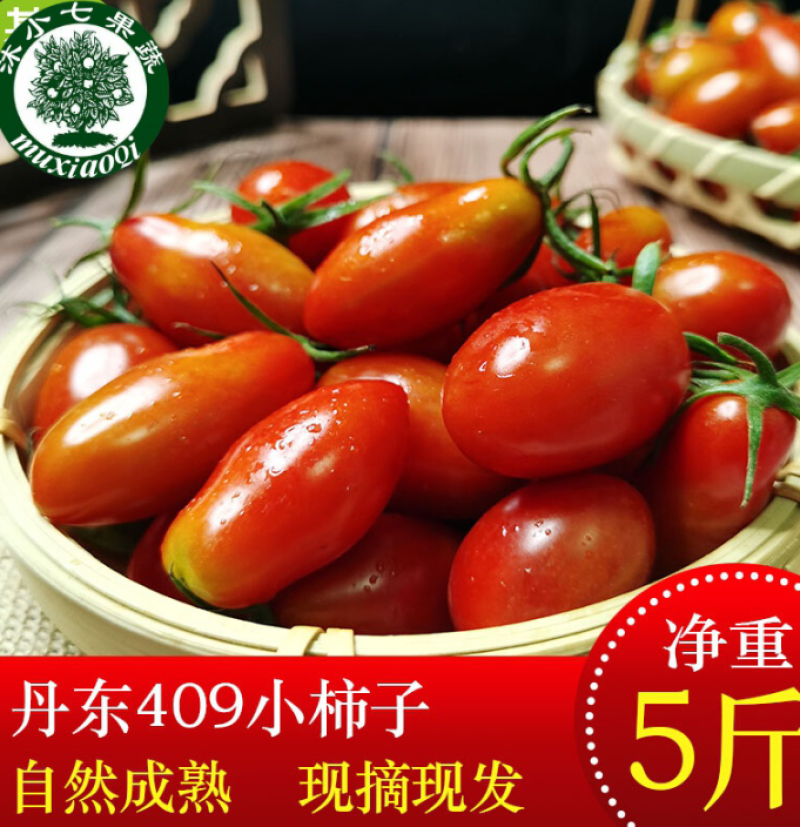 【推荐【丹东409小柿子基地直供品质保证诚信经营欢迎下单